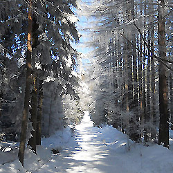 Objevujte Brdy s námi: Malý Tok, 3. nejvyšší hora Brd (843 m)