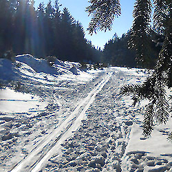 Skitouringový výlet Obecnice - Rusínská bouda - Tok (vrchol, 865 m)