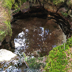 Objevujte Brdy s námi: studánka Nad Pilkou..