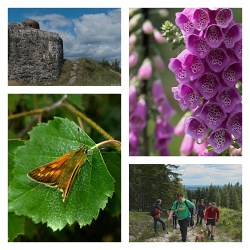 Víkendová fotogalerie z Brd - Tok a Jordán