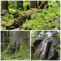 Víkendová fotogalerie z Brd - Klobouček