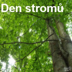 Den stromů: pojďme spolu do Brd