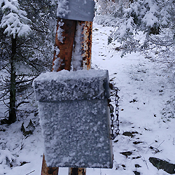 1. Zimní fotogalerie 2017/2018 z CHKO Brdy (vrch Třemošná, 779m) 13.11.2017 v 8:25 ráno..