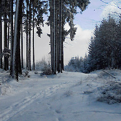 Objevujte Brdy s námi: Malá Třemošná (vrchol)