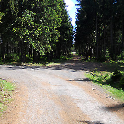 Objevujte Brdy s námi: Borské sedlo (794 m)