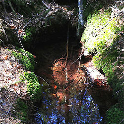 Objevujte Brdy s námi: studánka Pod Krkavčinou