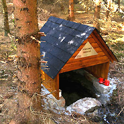 Objevujte Brdy s námi: Smrková studánka..