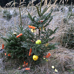 Inspirace pro vaše děti - nejen Vánoční strom pro lesní zvěř