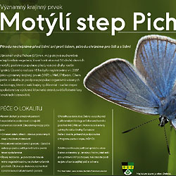 Motýlí step Pichce Dubno nedaleko CHKO Brdy: najdete zde až 52 druhů deních motýlů..