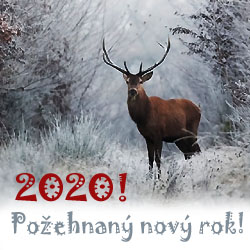 Nový rok 2020 je tady!