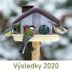 Sčítání ptactva 2020: sečteno, potrzeno. Kam zmizel z Čech kos? 