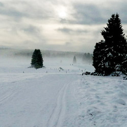 Aktuální běžky: Brdy nic, Šumava alespoň trochu.. 