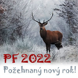 Nový rok 2022 je tady! 