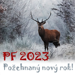 Nový rok 2023 je tady! 