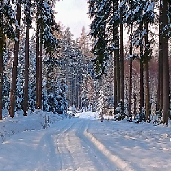 Aktuální sněhové info z Brd: 03.12.2023