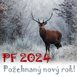 Nový rok 2024 je tady! 