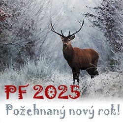 Nový rok 2025 je tady! 
