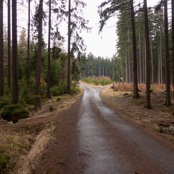 Rozcestí Rusínská - Obrázecká