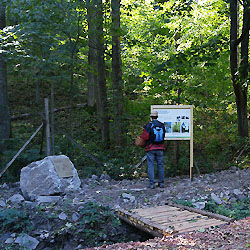 Buková studánka (Obecnice a okolí)