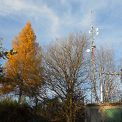 Padák, 586 m (vrchol)