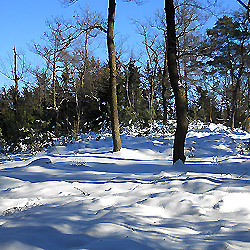 Žernovák, 675 m (vrchol)