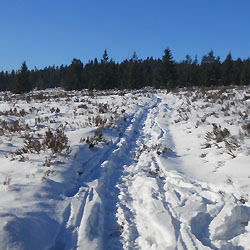 2. Skitouringový výlet v Brdech: Obecnice (Octárna) - Rusínská bouda - Tok (vrchol, 865 m)