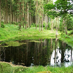 TRASA B4: Z Bohutína přes Skelnou huť k jezírku u Poustevníka a zpět do Bohutína (14 km)